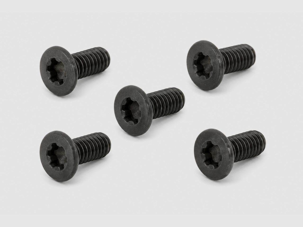 Spuhr M4x10 Tx20 Gen1 Haubenschrauben - 5 Stück