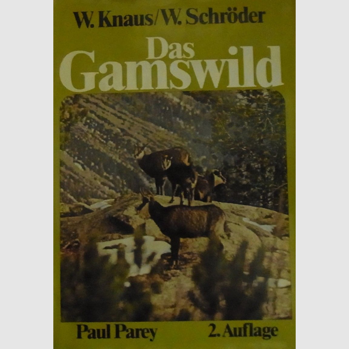 Das Gamswild