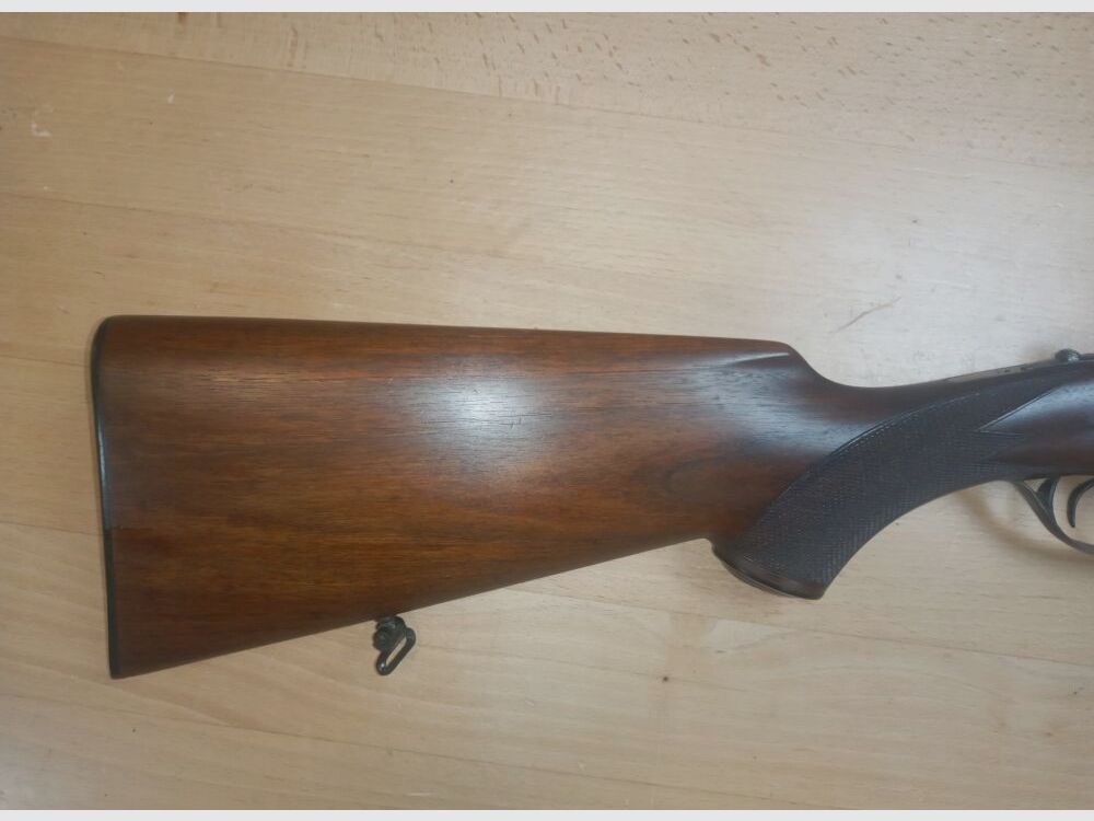 Geco Aigle
