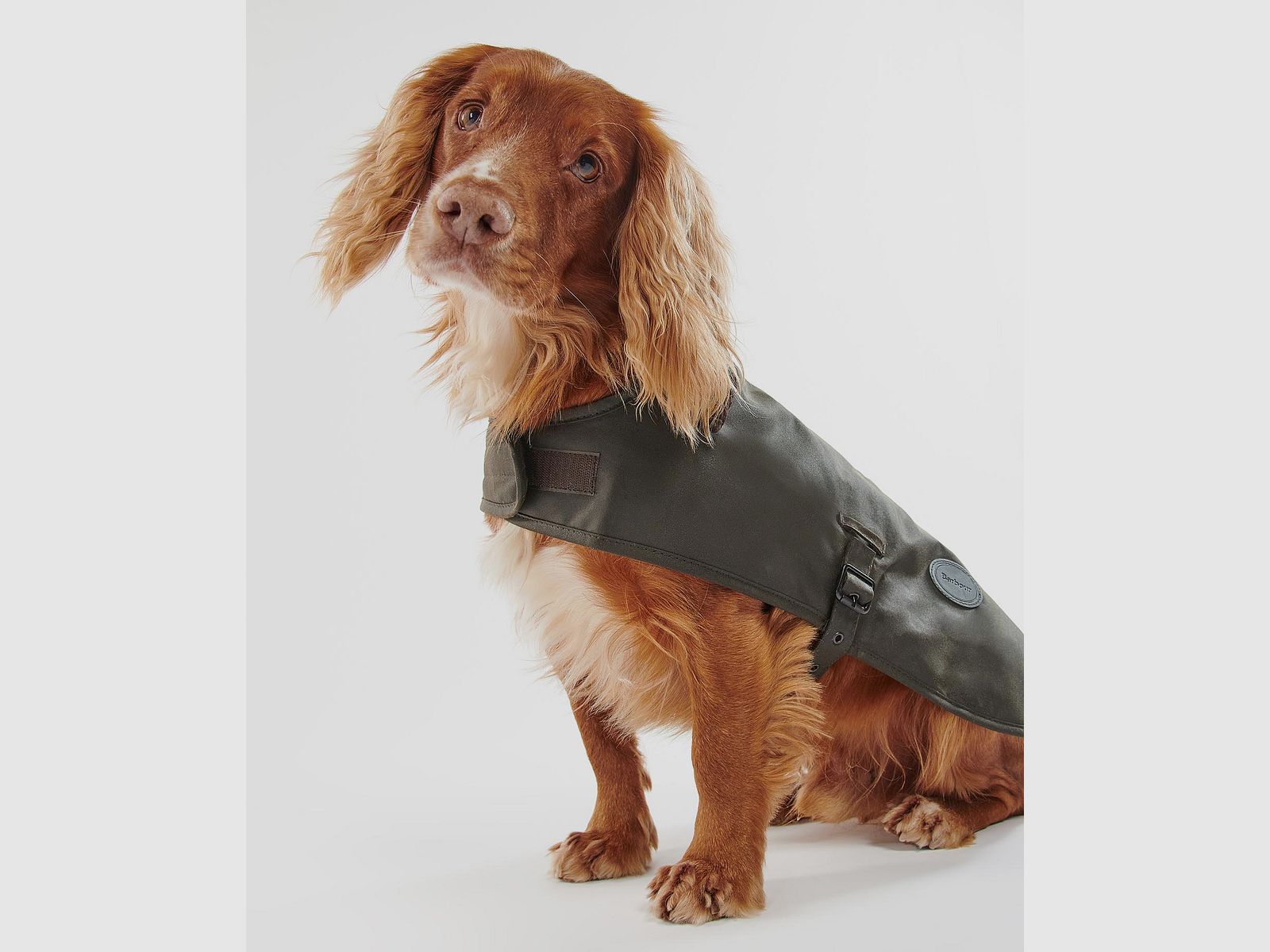 Barbour dog coat made of wax