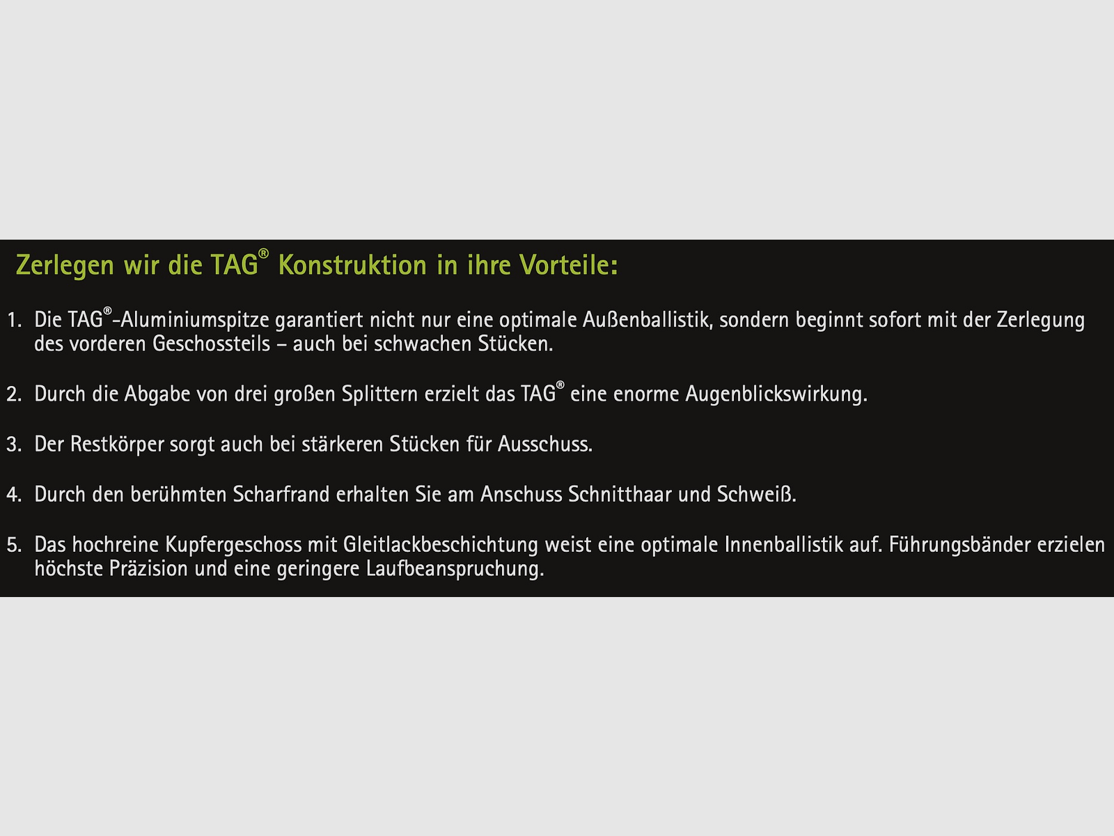 Brenneke 7x65 R TAG 10,4g 160grs. Bleifrei Langwaffenmunition