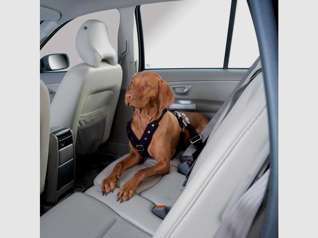 Hunter Autosicherheitsgeschirr Easy Comfort