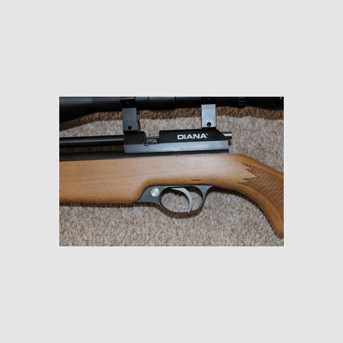 Diana Stormrider PCP