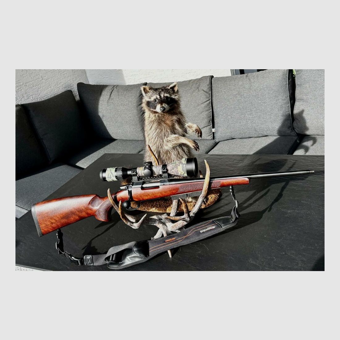 CZ Ranger Crosse en Noyer