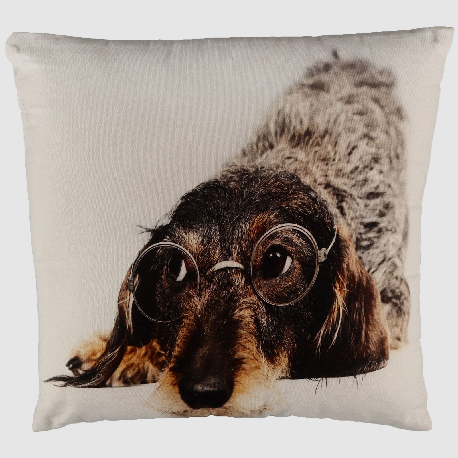 Kissen Dackel mit Brille 50x50 cm