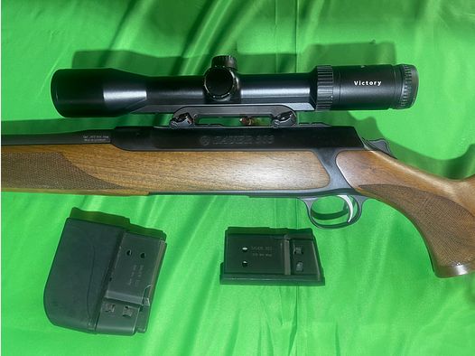 Sauer 303