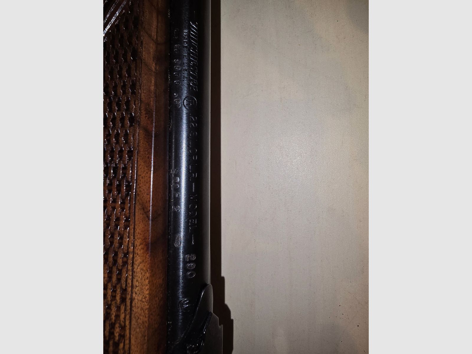 Winchester Model 290 .22lfB