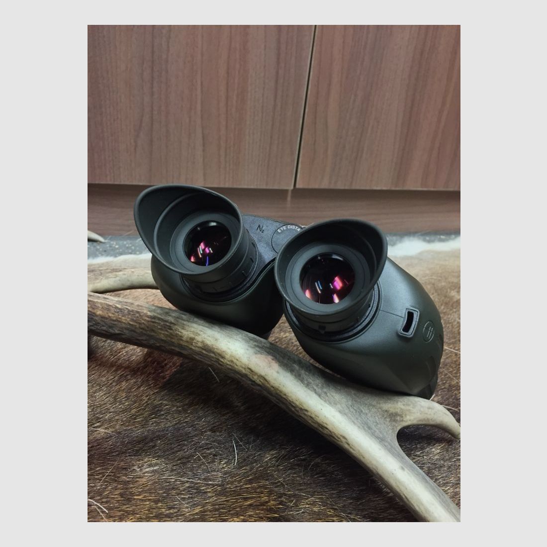 Steiner Nighthunter 8x56