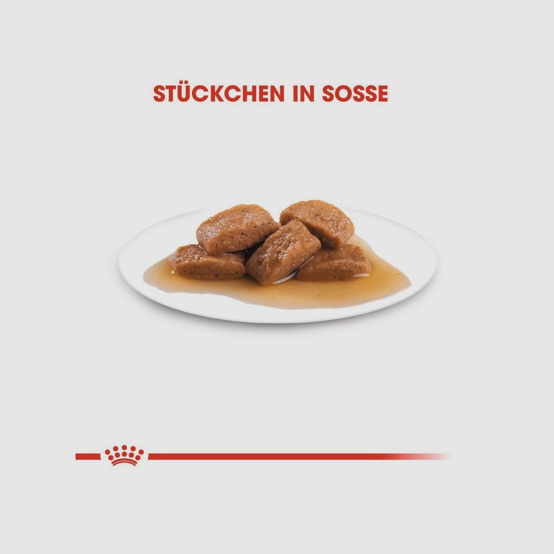 ROYAL CANIN Große Hunde Nassfutter Maxi Adult 10x140 g