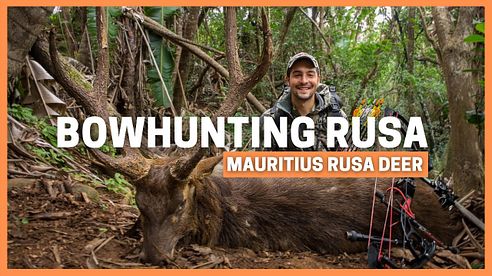 BOWHUNTING RUSA DEER MAURITIUS 🔥 HUNTING SAMBAR SPOT AND STALK 🔥