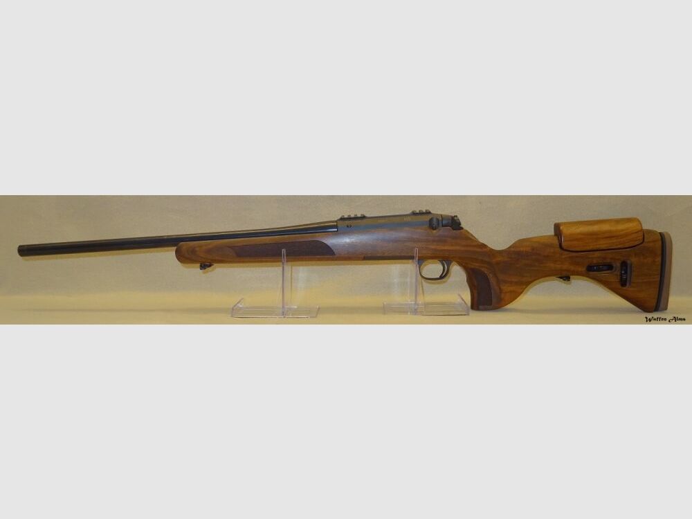 Steel Action HS