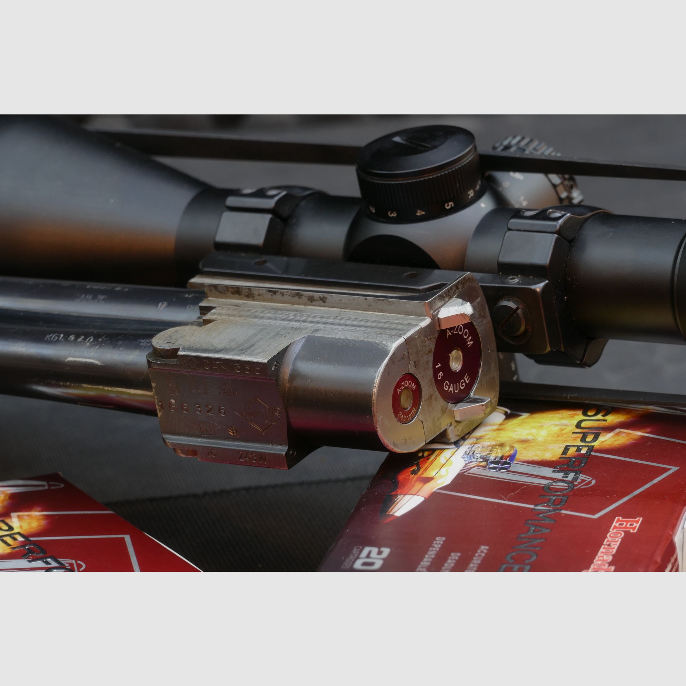 Antonio Zoli BBF in .243Win und 16/70