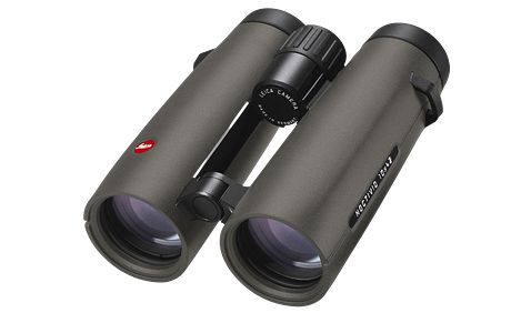 Leica Noctivid 10x42, grün
