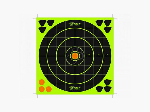 SME BERSAGLIO BULLSEYE 8" (CONF.3PZ)