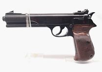 Walther PP Sport