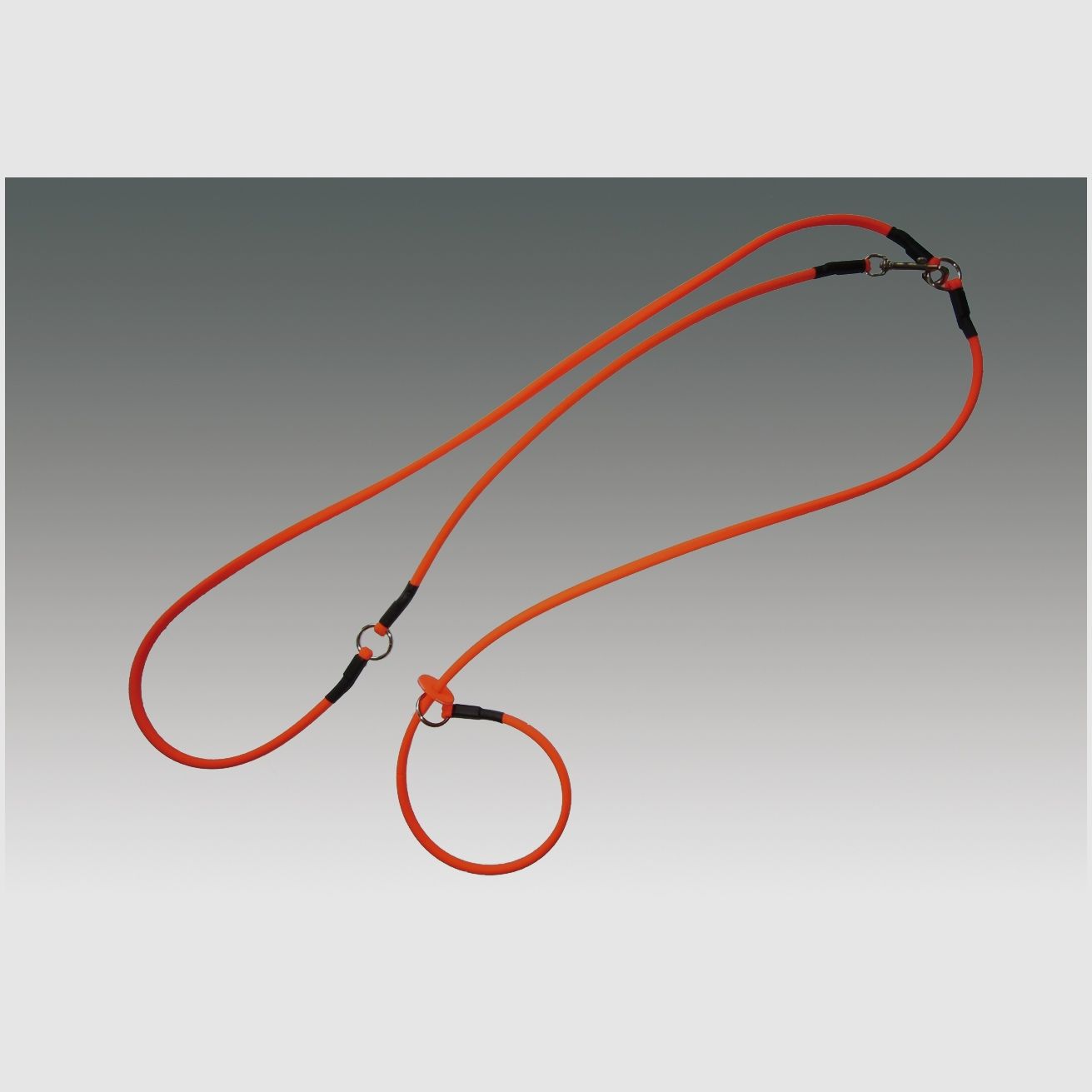 Führleine Moxon BioThane d8mm/250 or