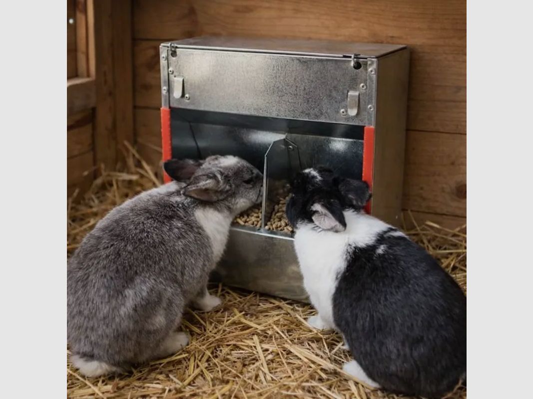 10er-Set Trichterfütterer für Kaninchen mit 2 Fächern, Bild 13 von 15