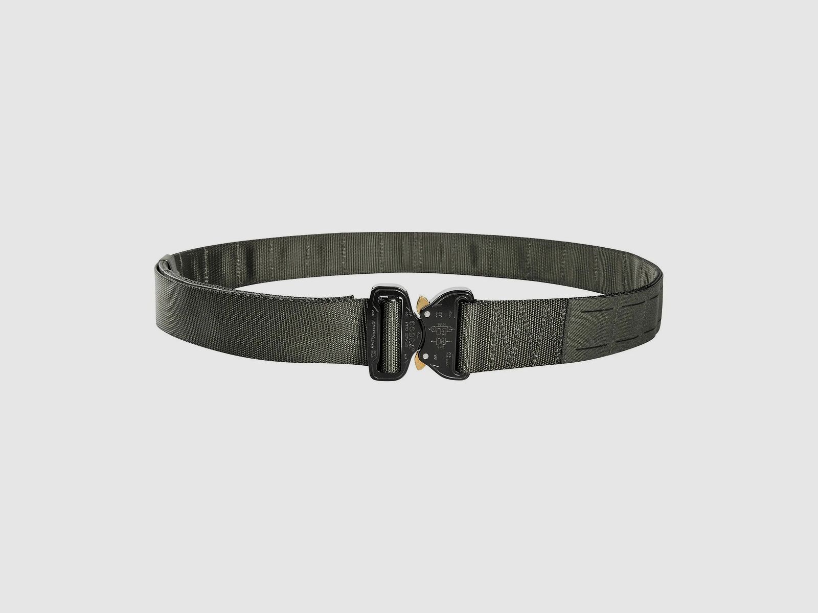 Modular Belt