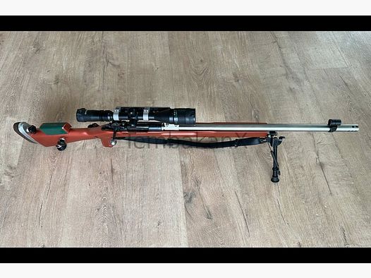 Styria Arms M95 Modifiziert/Umbau .308Win