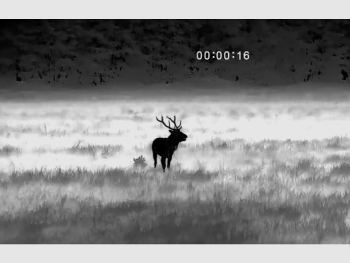 Pulsar Axion XM3OF Wärmebildgerät