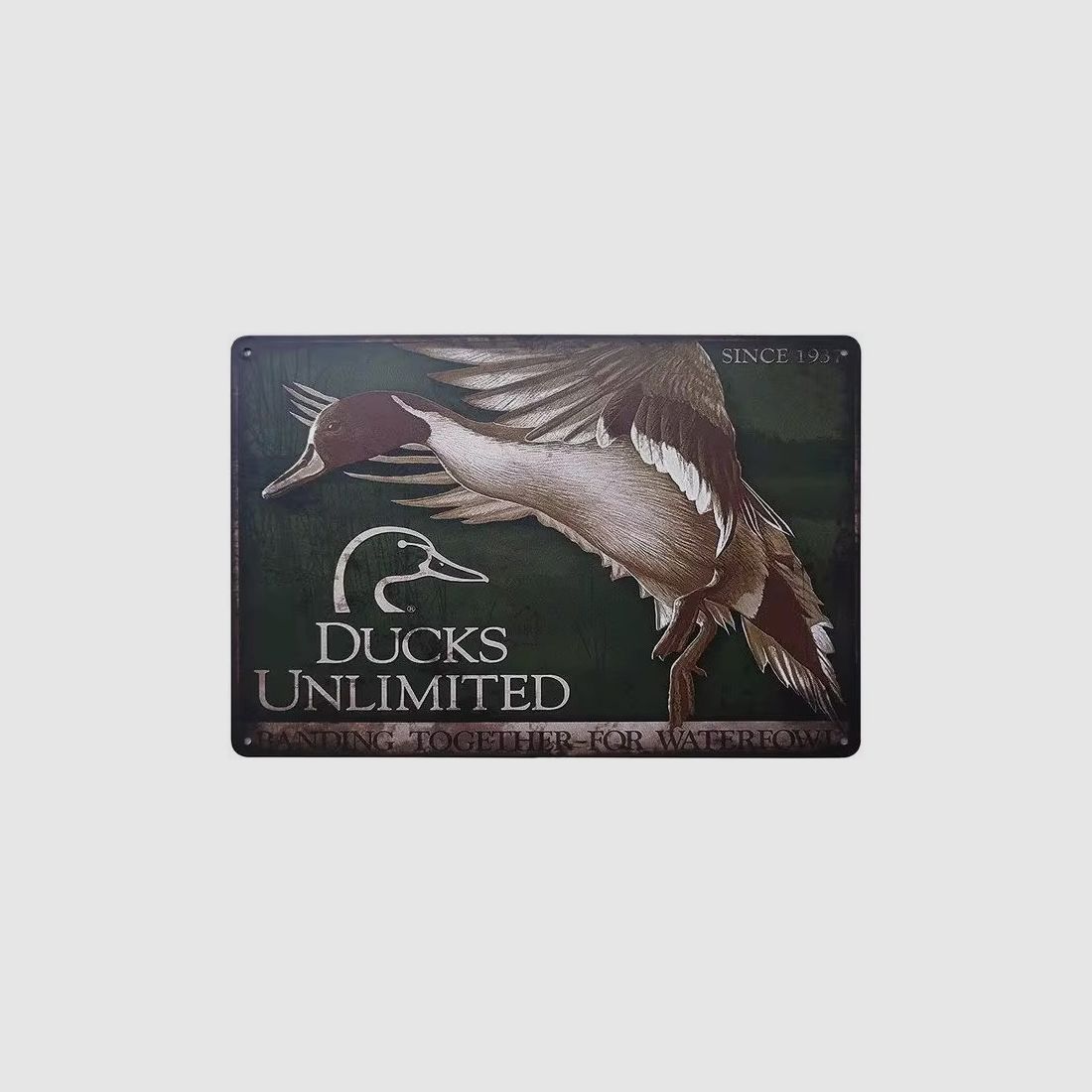 Metall-Dekorationsschild Ducks Unlimited Pilet
