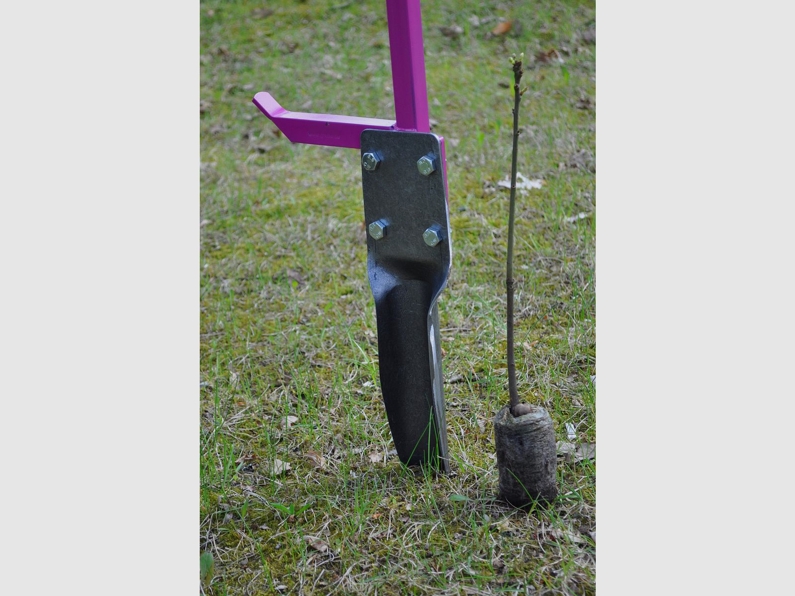 Cuchilla de repuesto para la plantación en contenedor