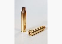 Partizan Łuski .223 Remington x500