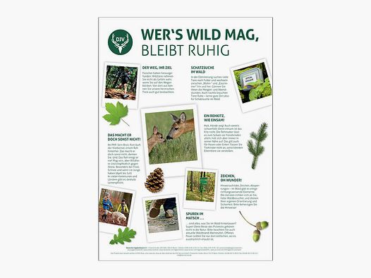 Poster "Wer´s Wild mag" (3 Stück)