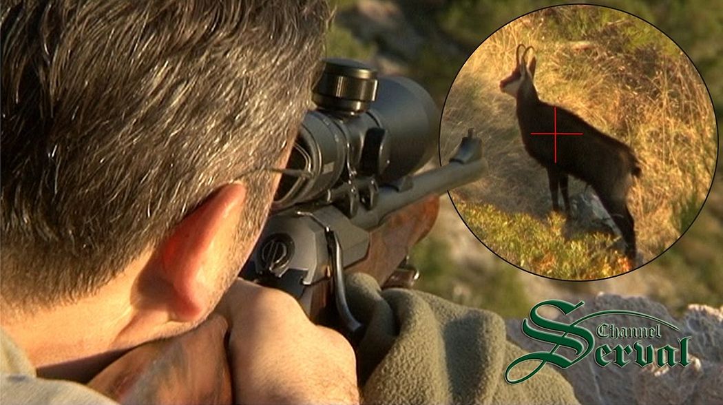 Balkan Chamois Hunting in the Croatian mountains -Biokovo - Gamsjagd in Kroatien