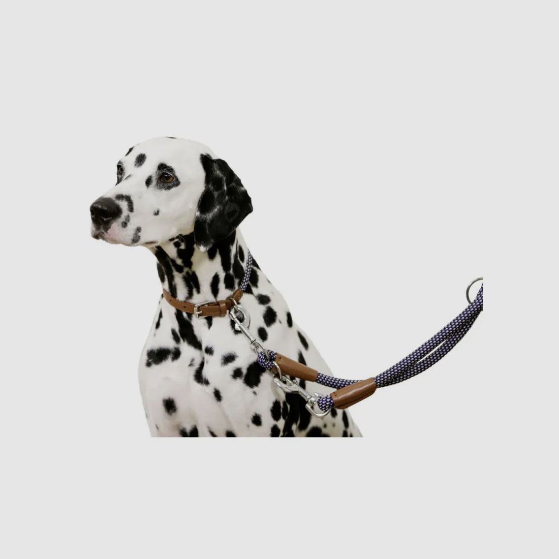 Dog collar in rope 40 - 55 cm, image 4 of 8