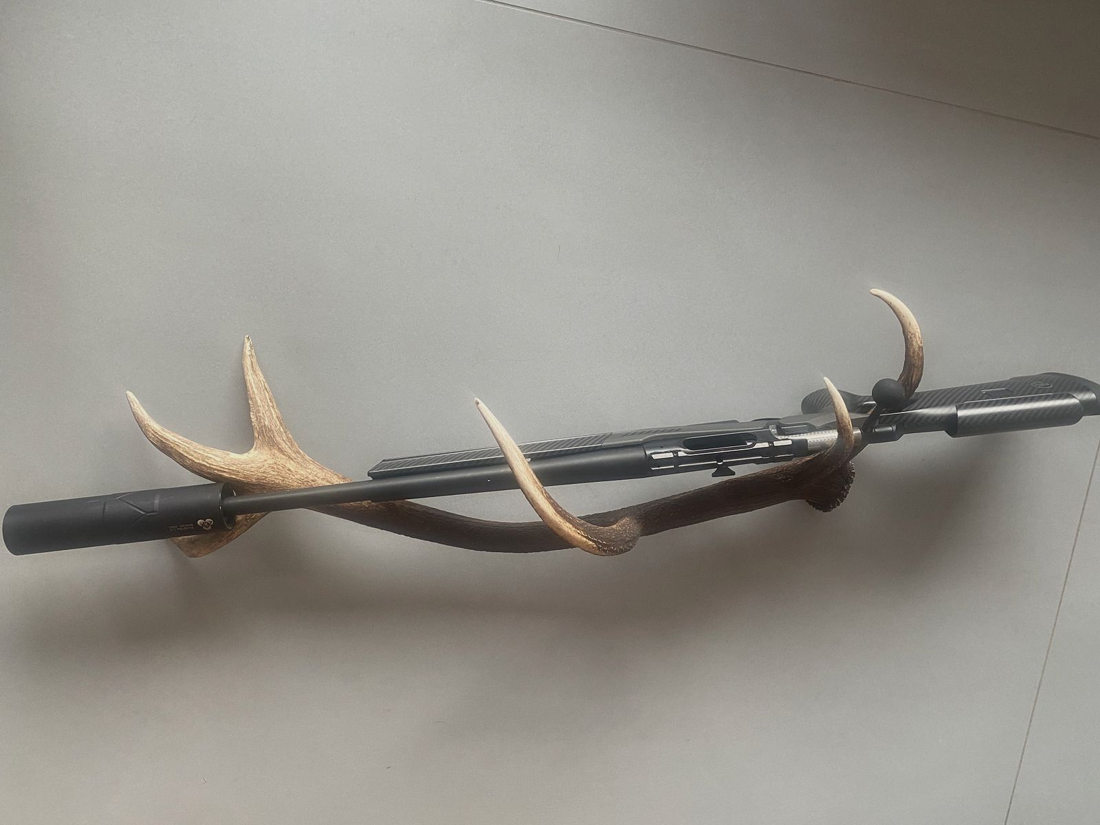 Sauer 202 carbon stock caliber 308