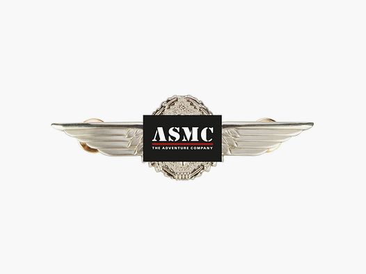 Distintivo originale Bundeswehr BW pilota di aeromobili metallo color argento