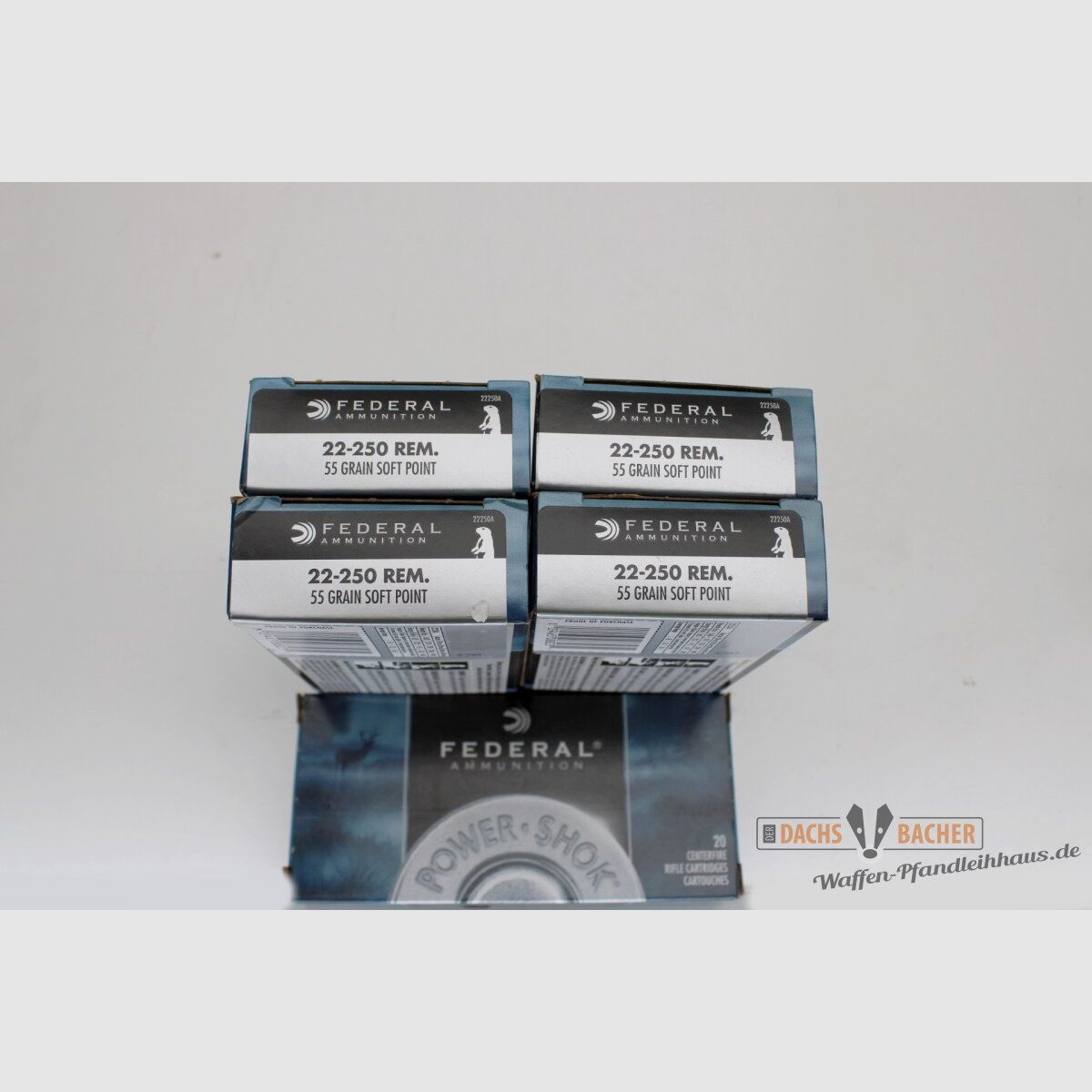 Federal .22-250 Rem 55gr.Soft Point 100 (5x20) Schuß
