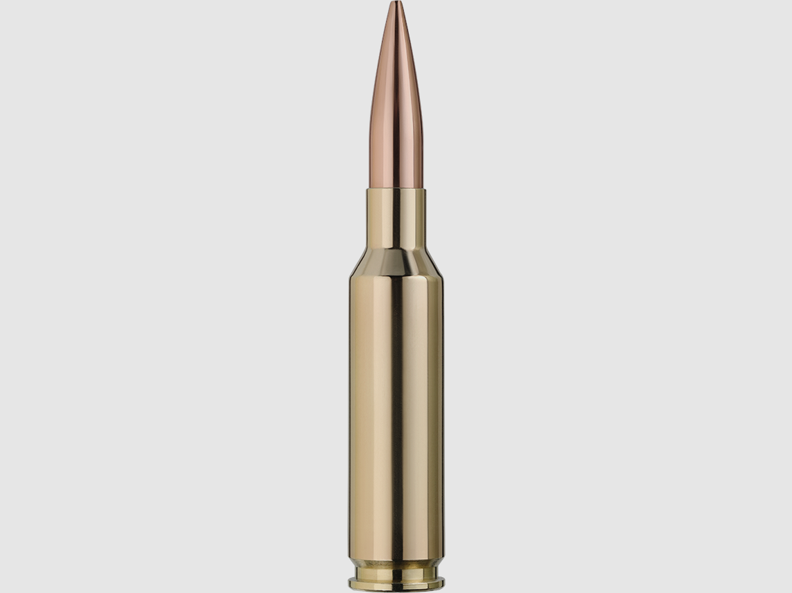 RWS Target Elite Plus 6,5mm Creedmoor (20), Bild 2 von 2