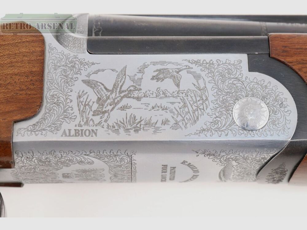 Rizzini Albion