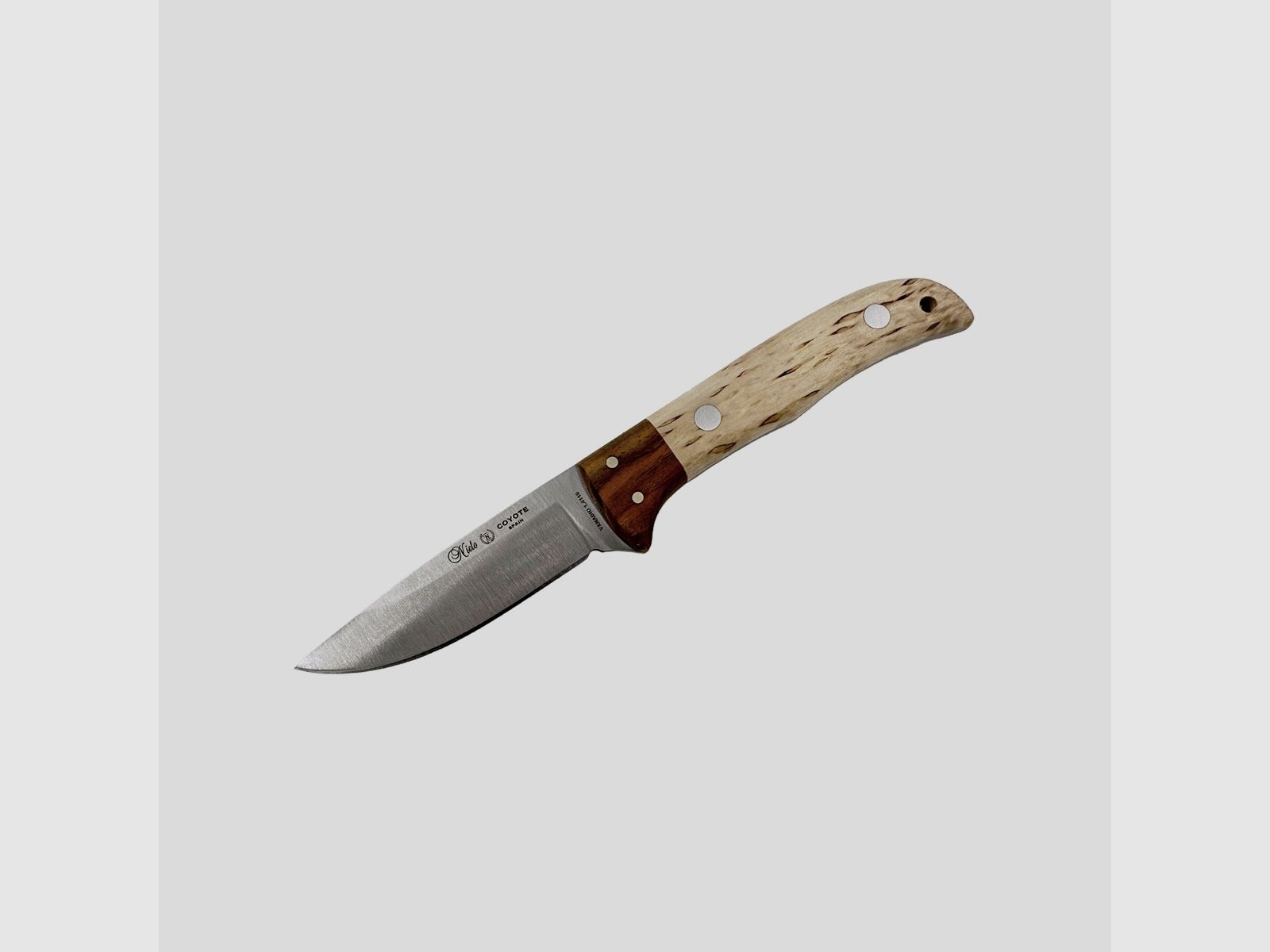 Miguel Nieto – Coyote Curly Birch 1059, Bild 1 von 3