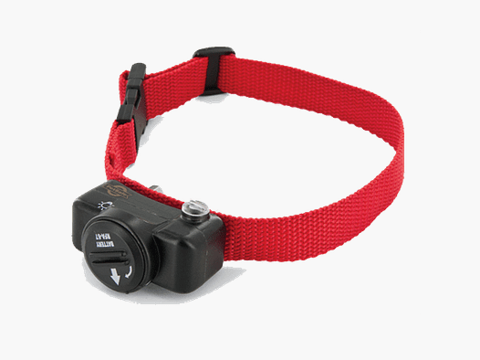 COLLARE AGGIUNTIVO PIG-15394 – CANICOM