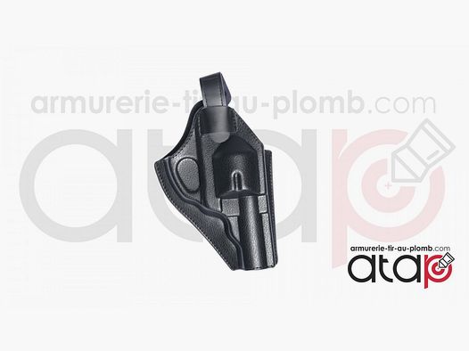 Holster rígido moldeado ASG para Dan Wesson de 2,5 y 4 pulgadas