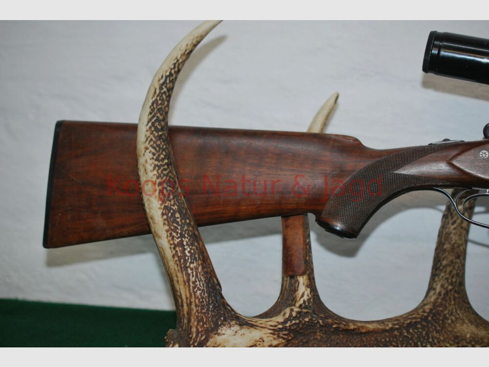 Sauer & Sohn 54