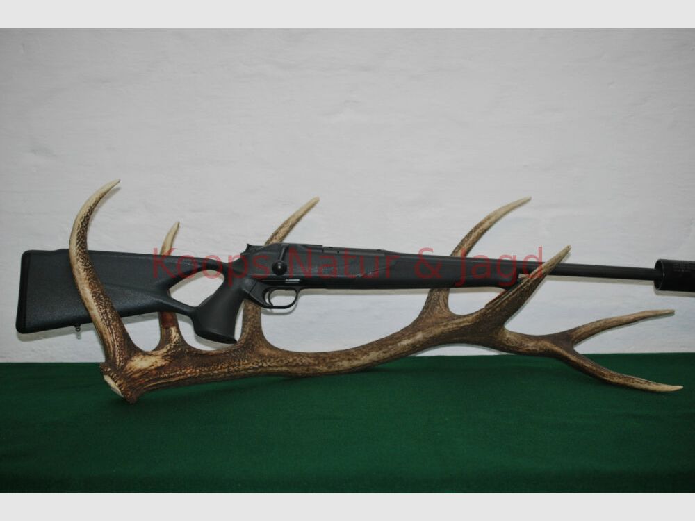 Blaser R8 Professional Success
