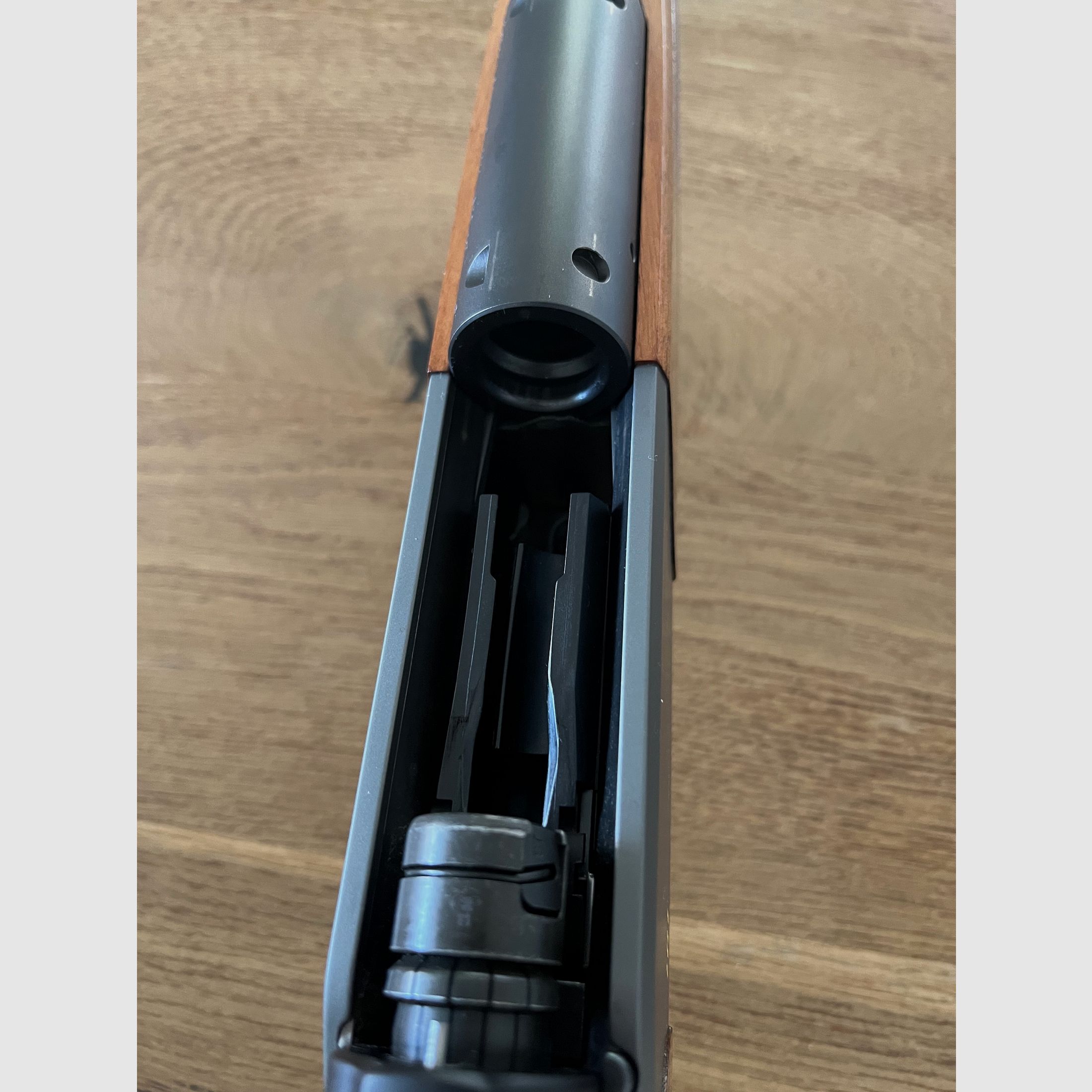 Blaser R8 Holz 308 - Sahnestück