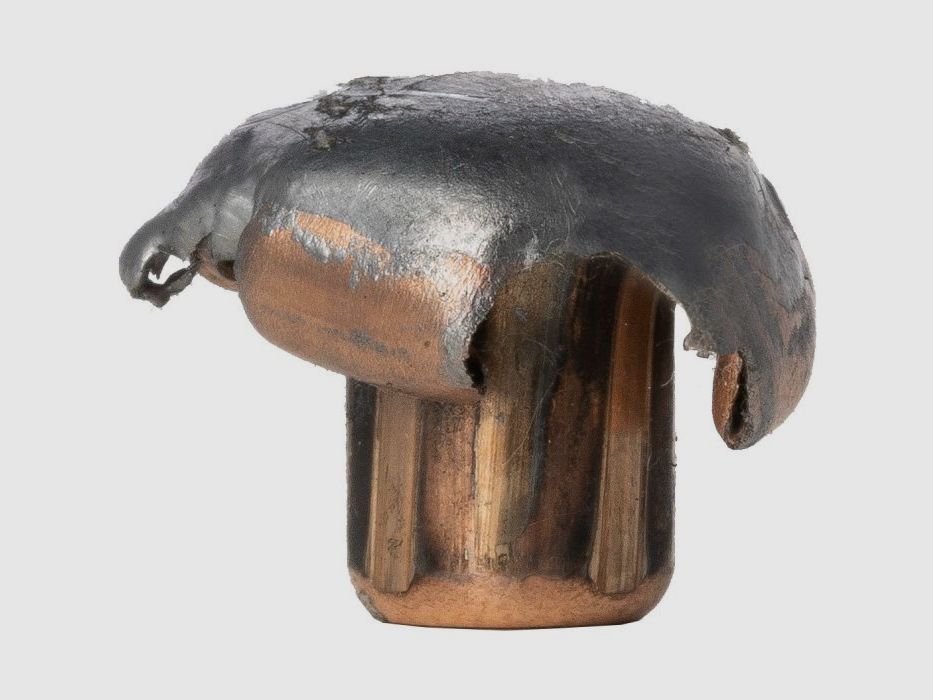 Norma 30-06 Tipstrike 170 gr Munition, Bild 9 von 10