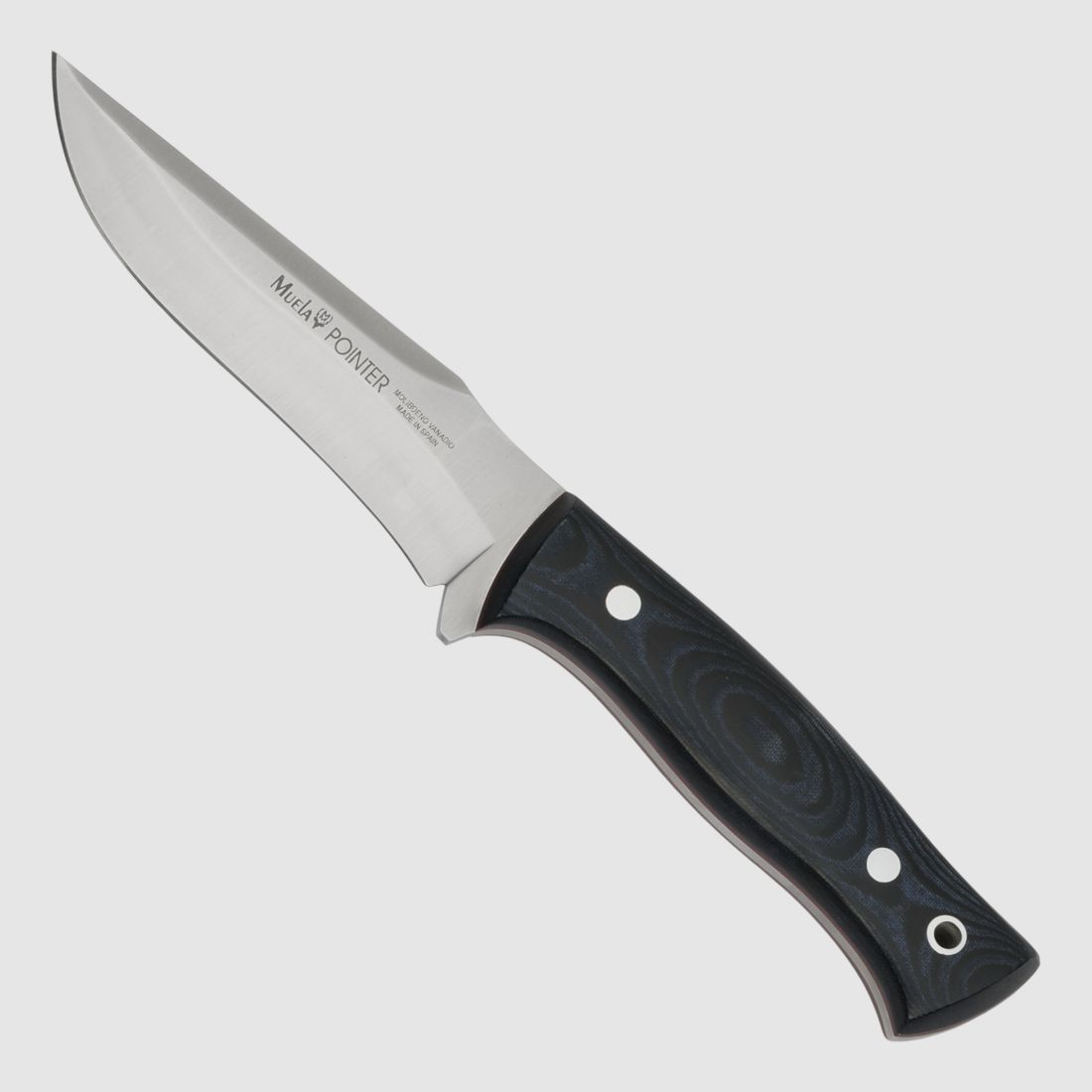 Muela Bowie HH