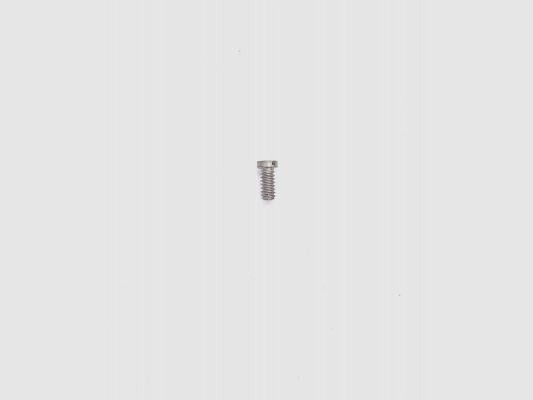 S&W SIDE PLATE SCREW