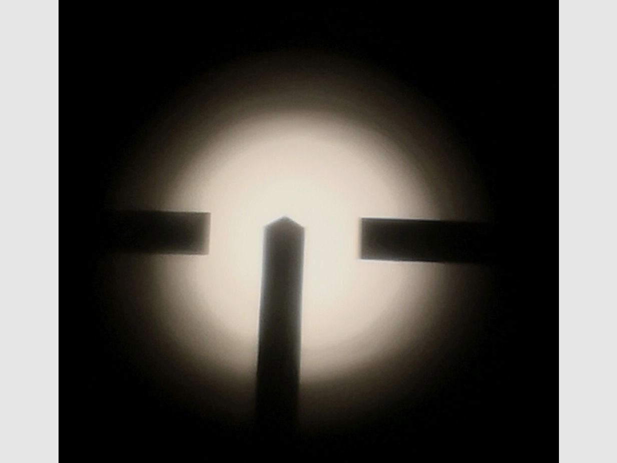 Honold Ulm avec Zeiss Diastal 8x52