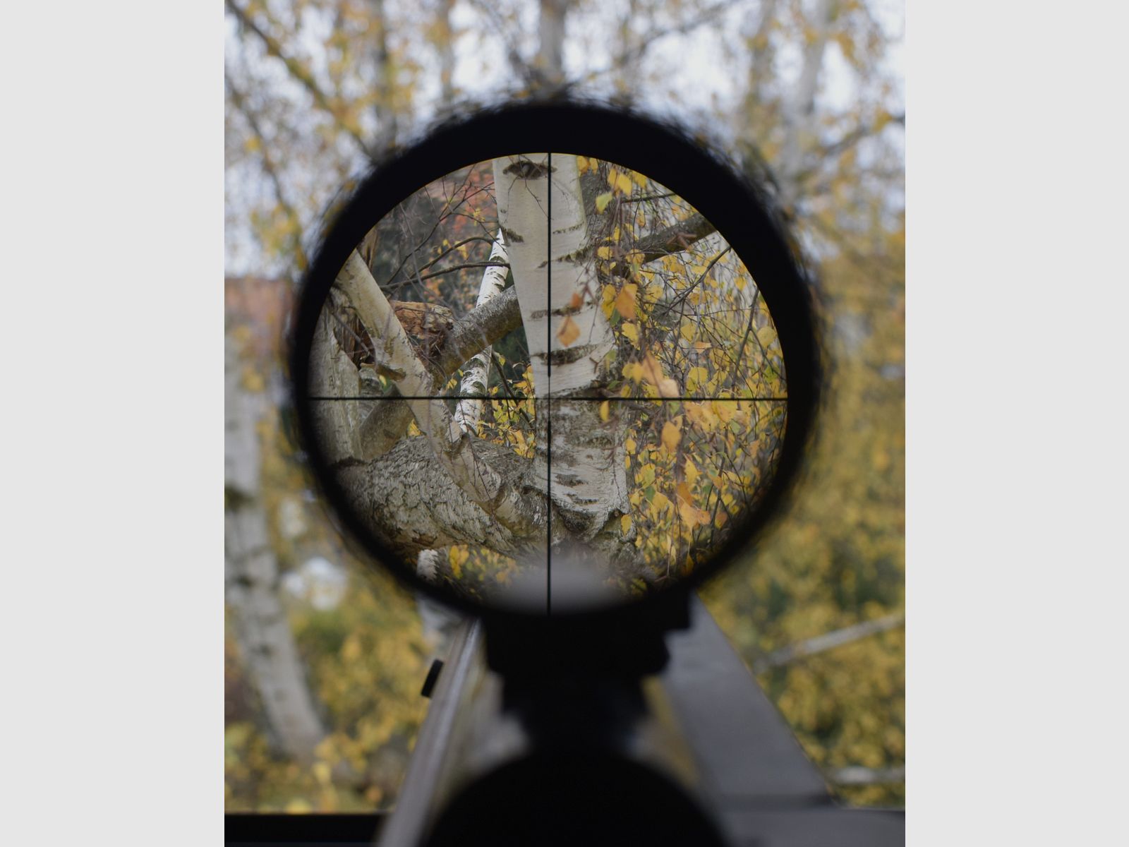 Air rifle Walther LGR sniper conversion completely revised