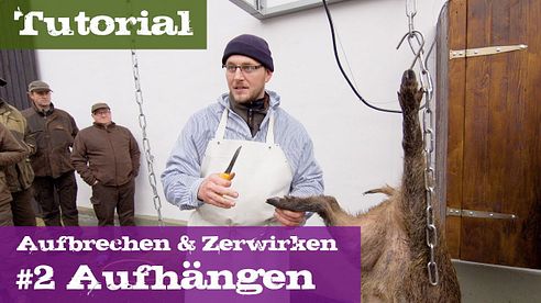 #2 Aufhängen - Lehrgang Aufbrechen & Zerwirken