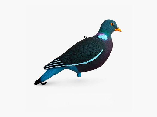 Forms of Pigeon HD x12