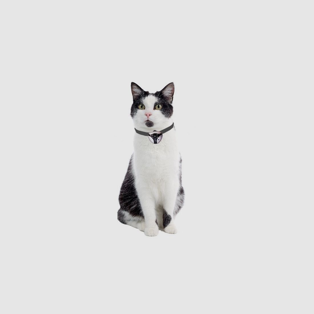 EYENIMAL Caméra pour animaux Gen. II, image 2 sur 4