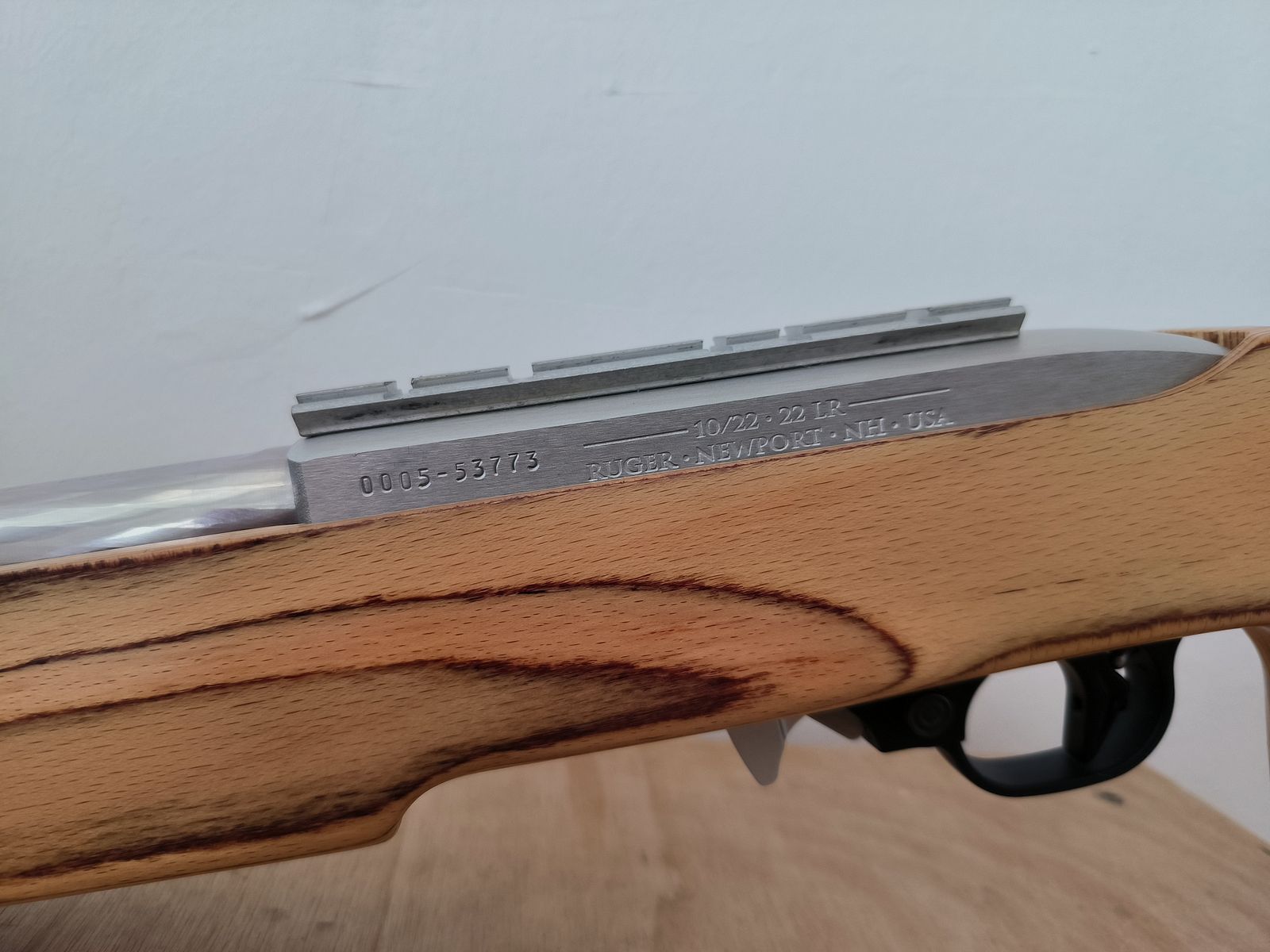 Ruger 10/22